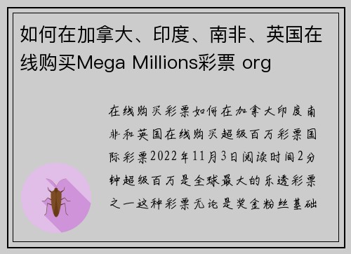 如何在加拿大、印度、南非、英国在线购买Mega Millions彩票 org